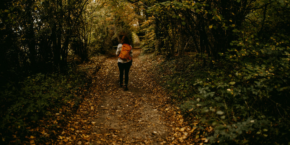 Hiker walking a path through the woods