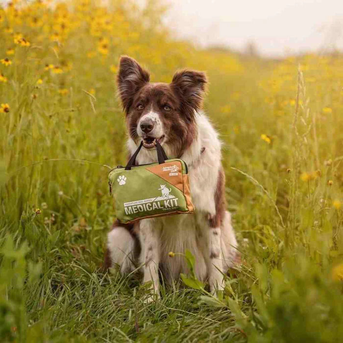 Adventure Dog Medical Kit - Trail Dog
