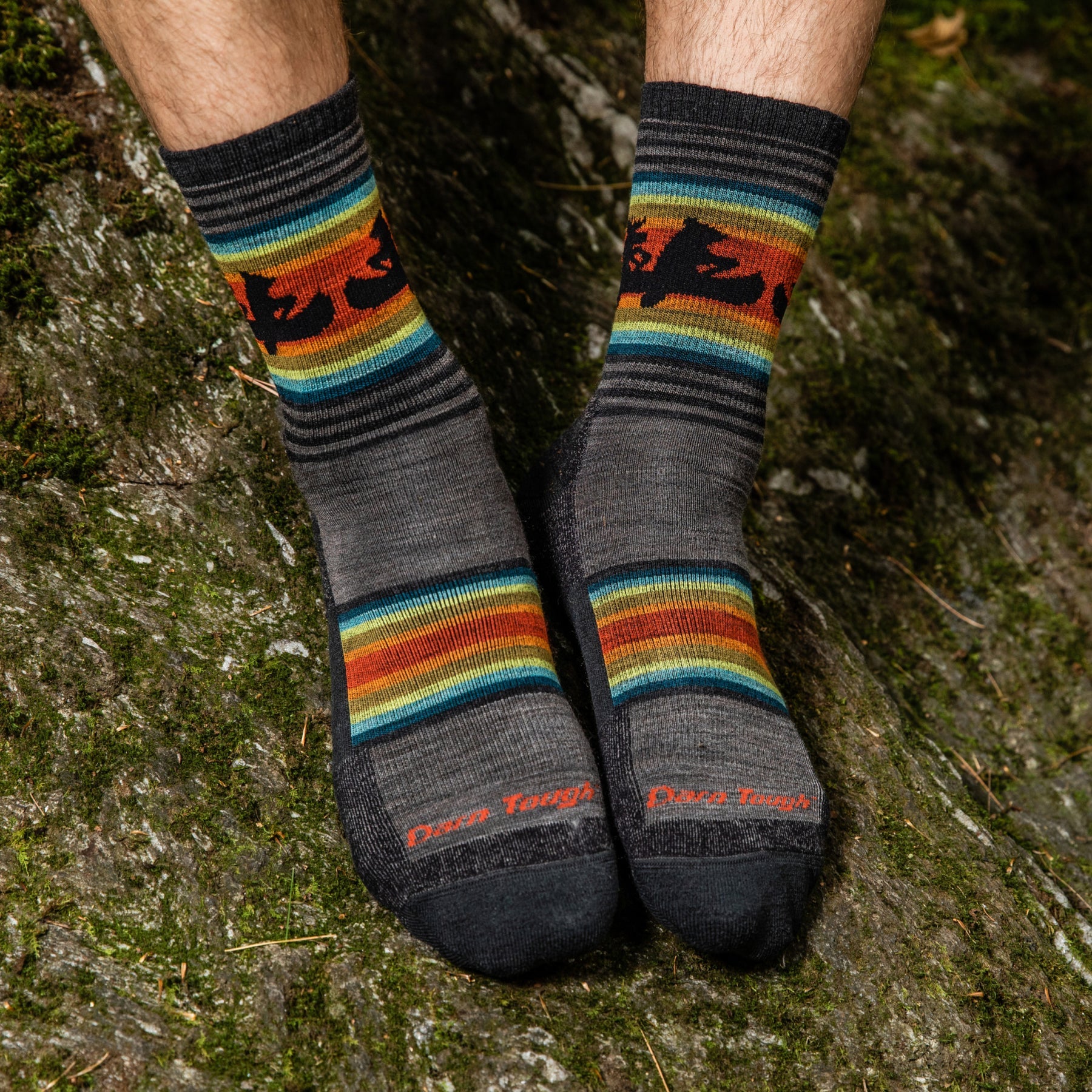 Men's Willoughby Micro Crew Lightweight Hiking Socks | 5003