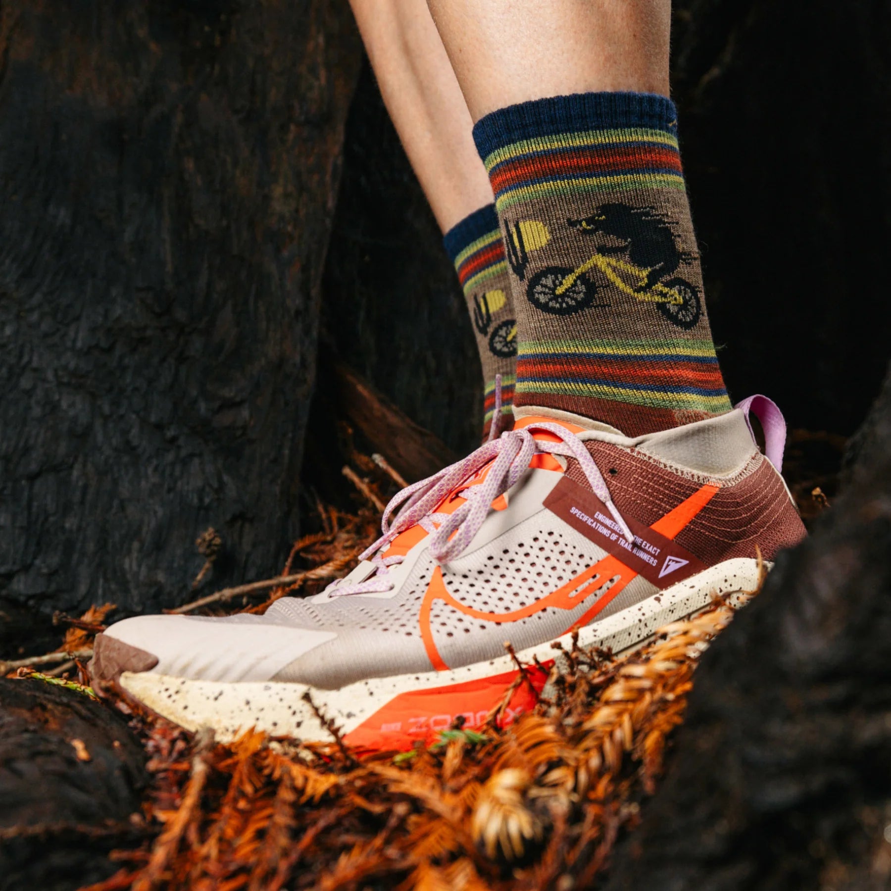 Men's Willoughby Micro Crew Lightweight Hiking Socks | 5003