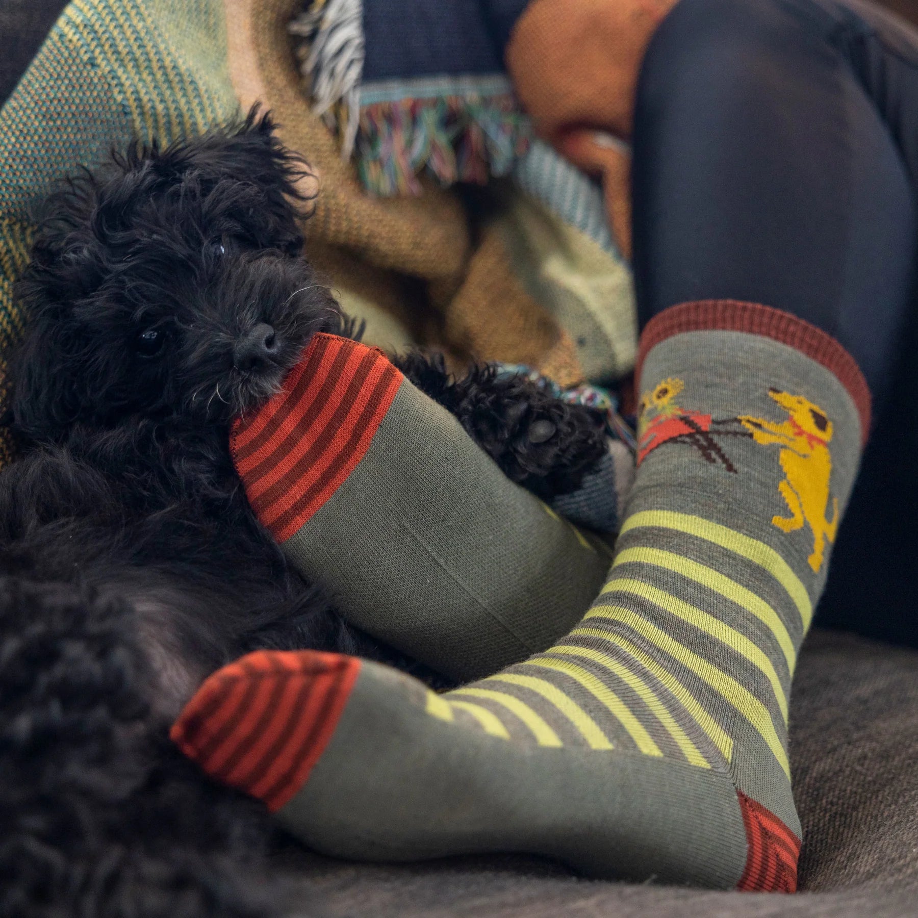 Women's Animal Haus Crew Lightweight Lifestyle Sock |  6037