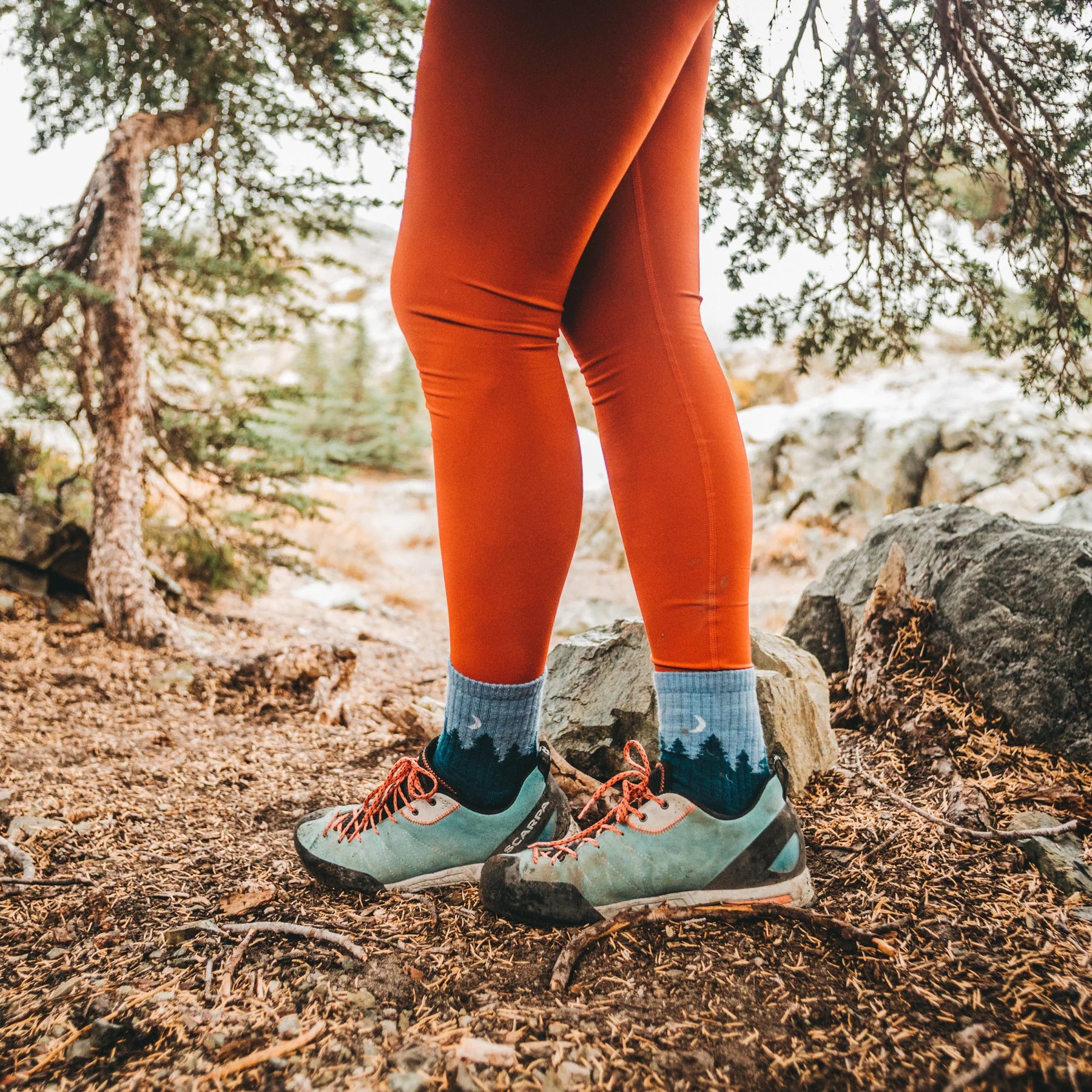 Women's Treeline Micro Crew Midweight Hiking Sock