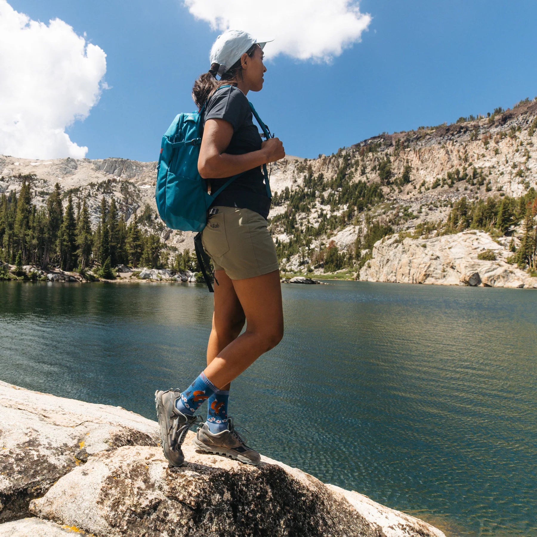 Women's Critter Club Micro Crew Lightweight Hiking Sock