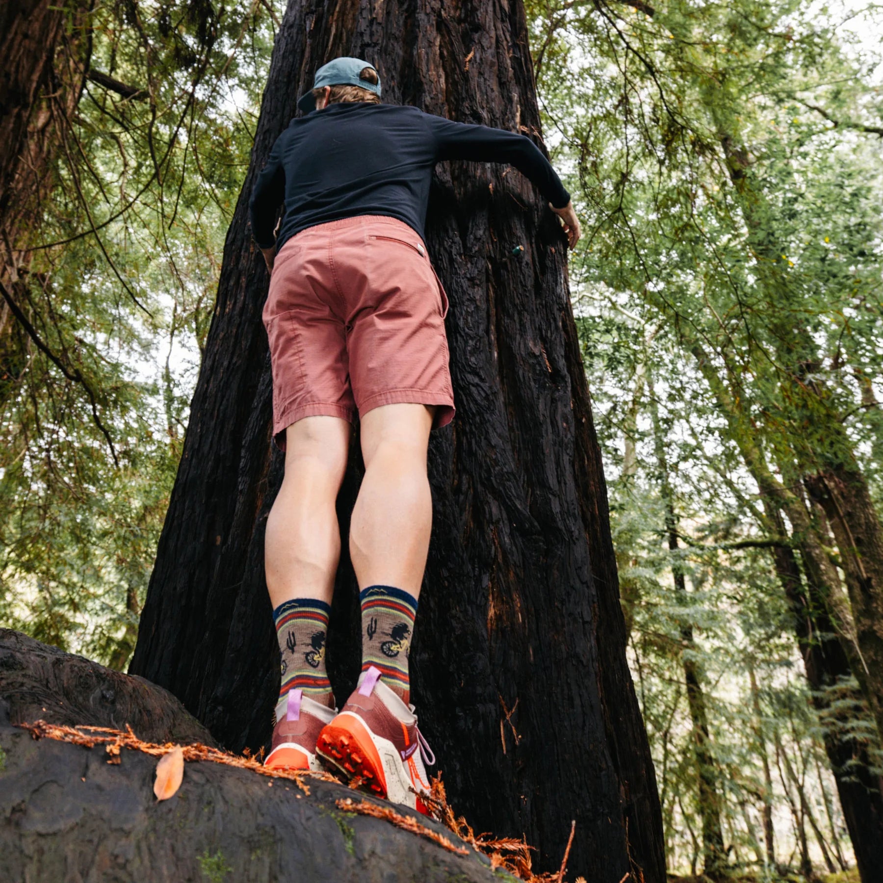 Men's Willoughby Micro Crew Lightweight Hiking Socks | 5003