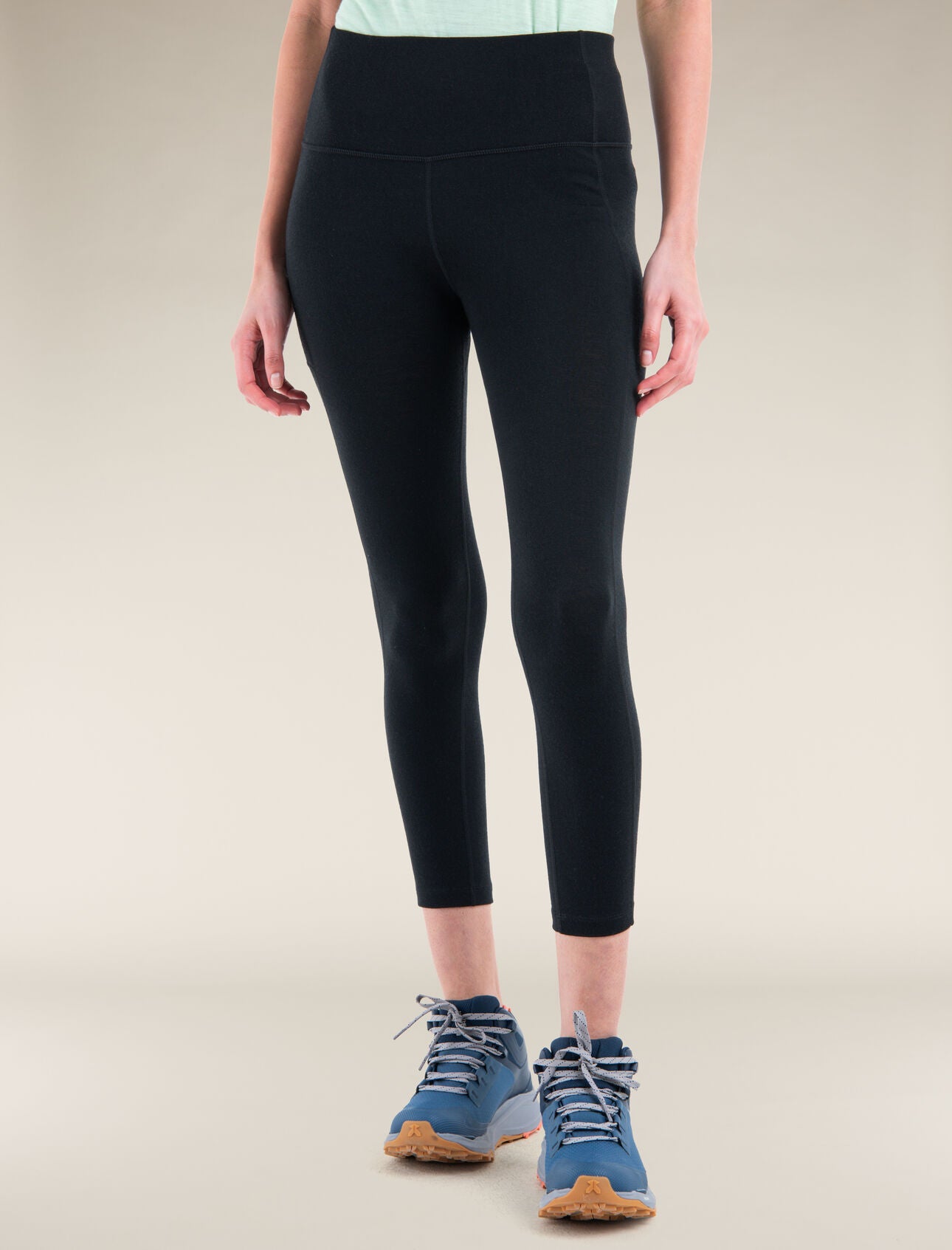 Women's Merino 260 Fastray 25" High Rise Tights