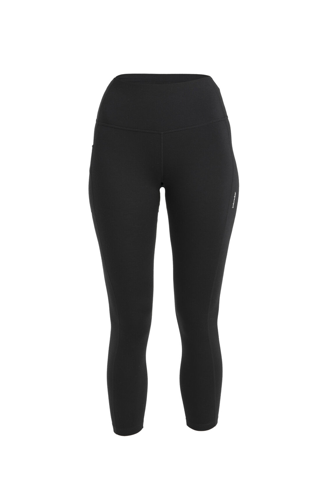 Women's Merino 260 Fastray 25" High Rise Tights