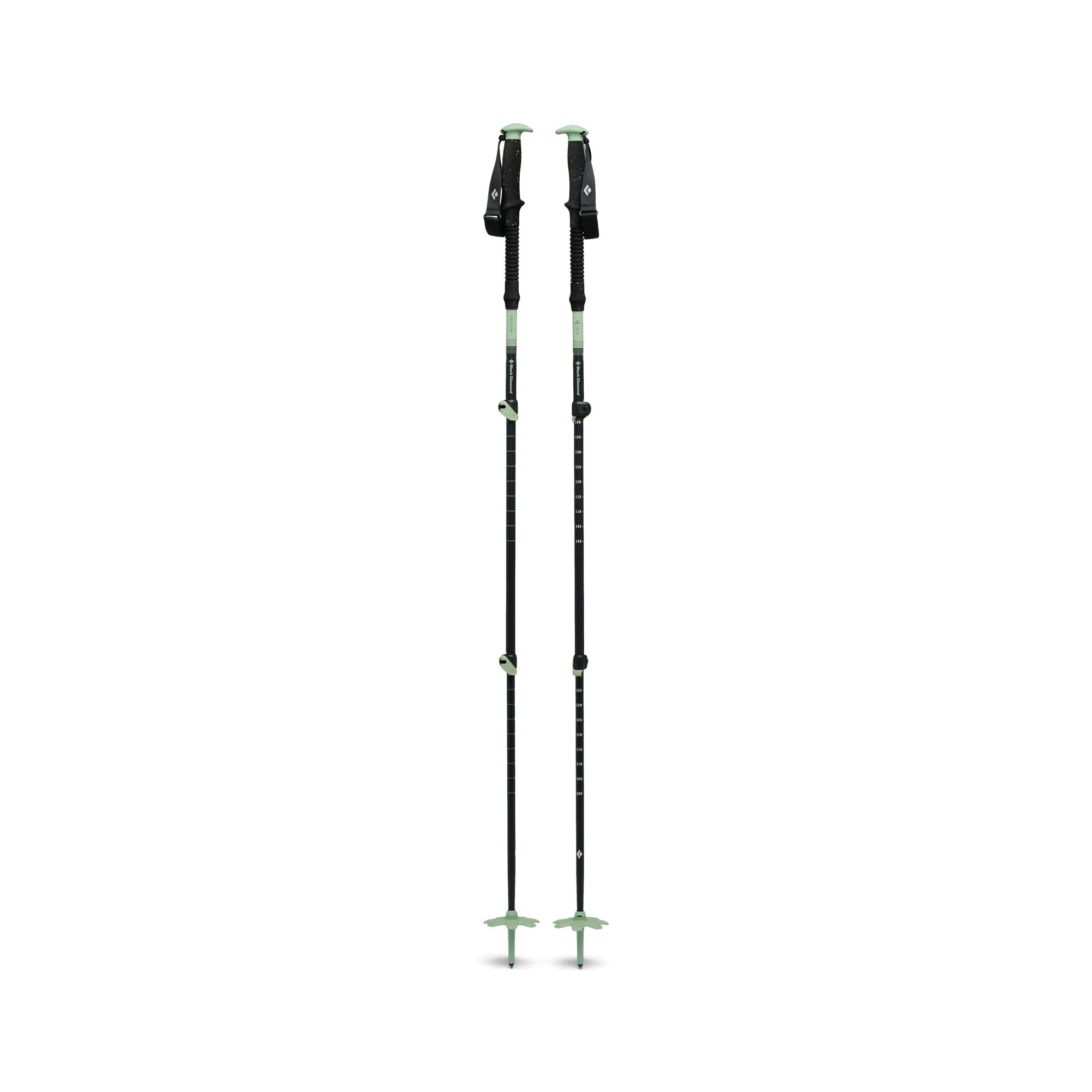 Expedition 3 Ski Poles - Desert Sage