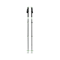 Expedition 3 Ski Poles - Desert Sage