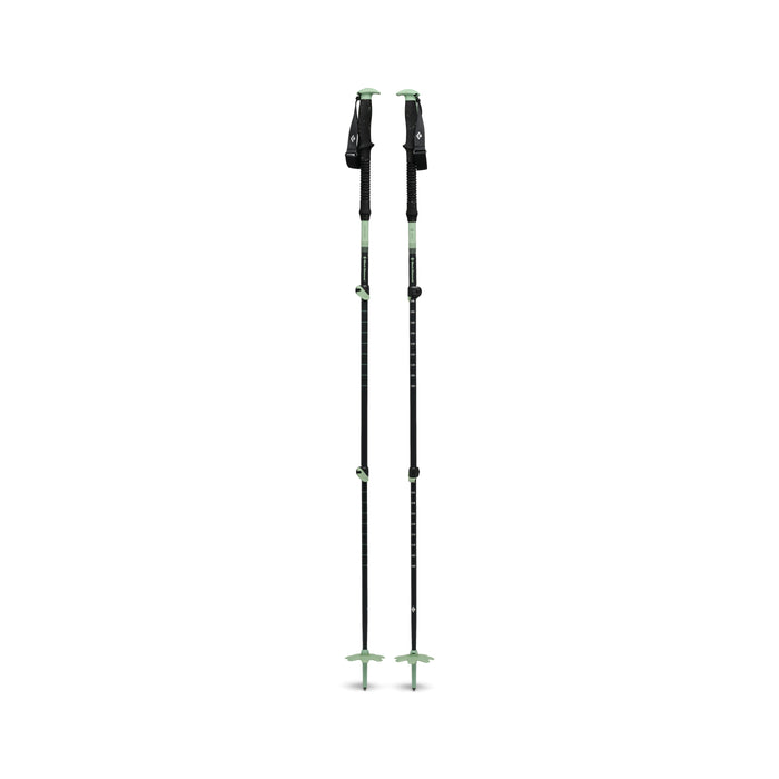 Expedition 3 Ski Poles - Desert Sage
