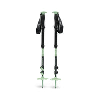 Black Diamond Expedition 3 Ski Poles, Desert Sage