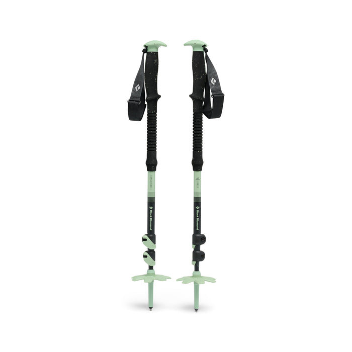 Black Diamond Expedition 3 Ski Poles, Desert Sage