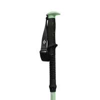 Black Diamond Expedition 3 Ski Poles, Desert Sage (2)