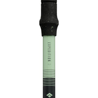 Black Diamond Expedition 3 Ski Poles, Desert Sage (3)