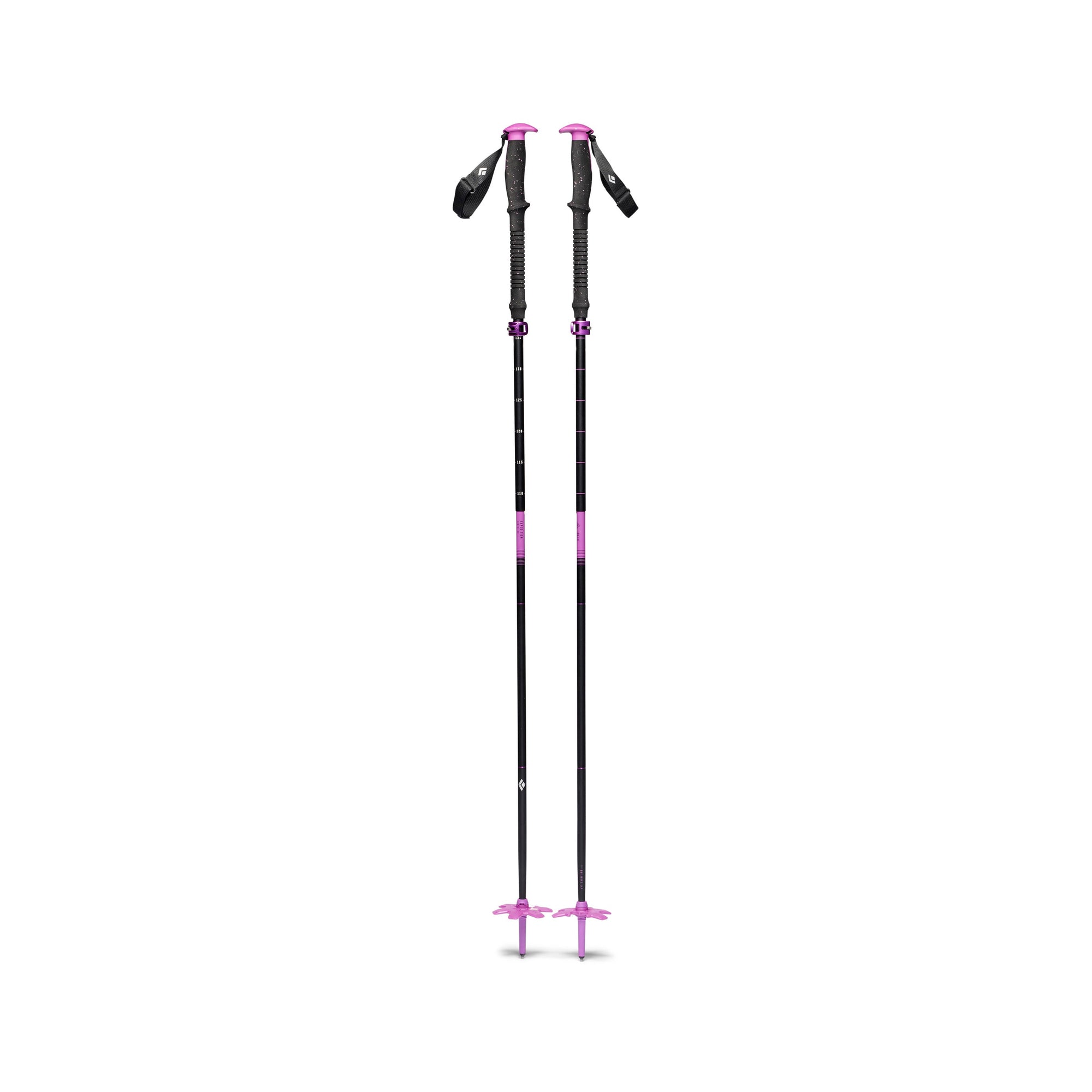 Expedition Compactor Ski Poles