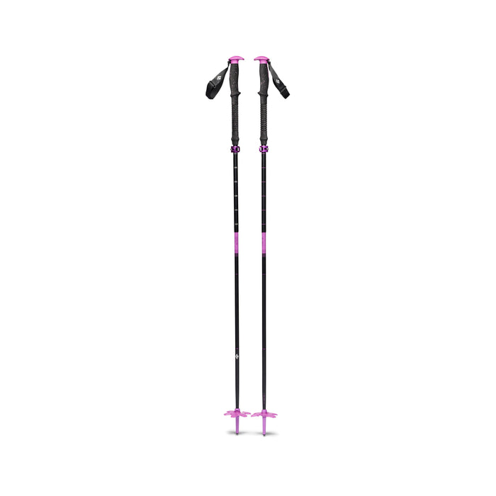 Expedition Compactor Ski Poles