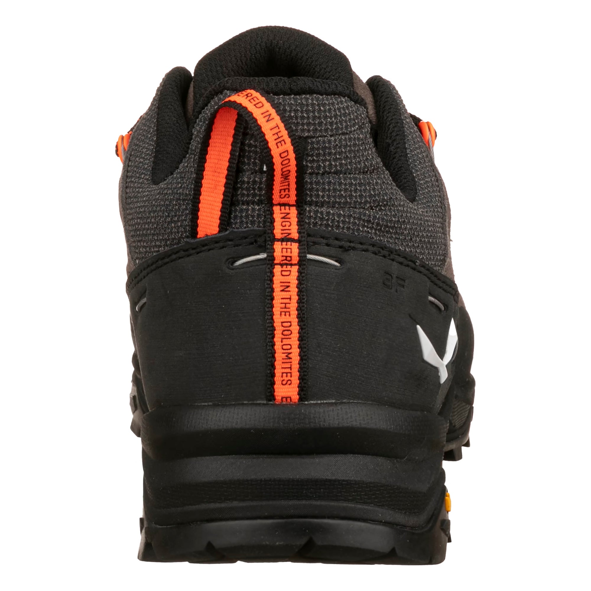 Men's Alp Trainer II Shoe