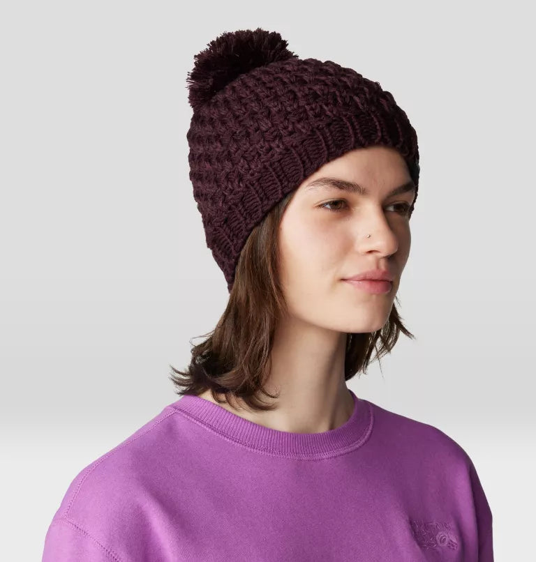 Snow Capped Beanie