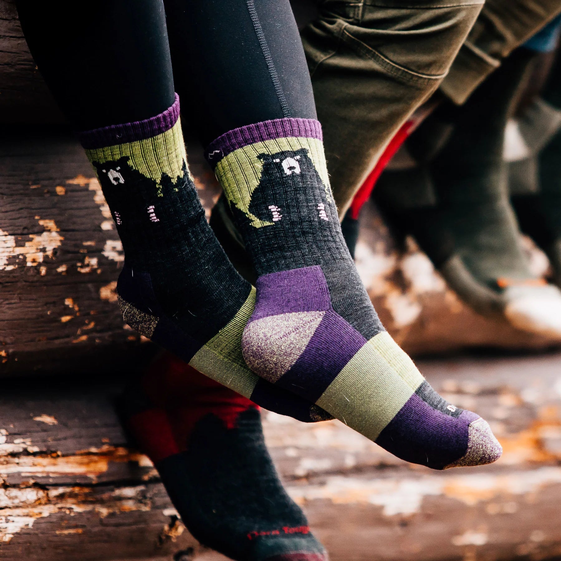 Women's Bear Town Micro Crew Lightweight Hiking Sock | 1970