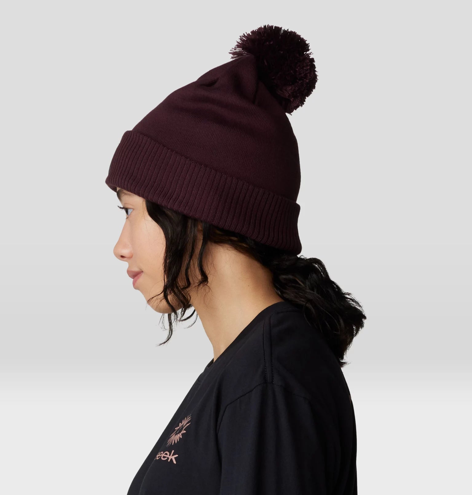 ApresPro Beanie