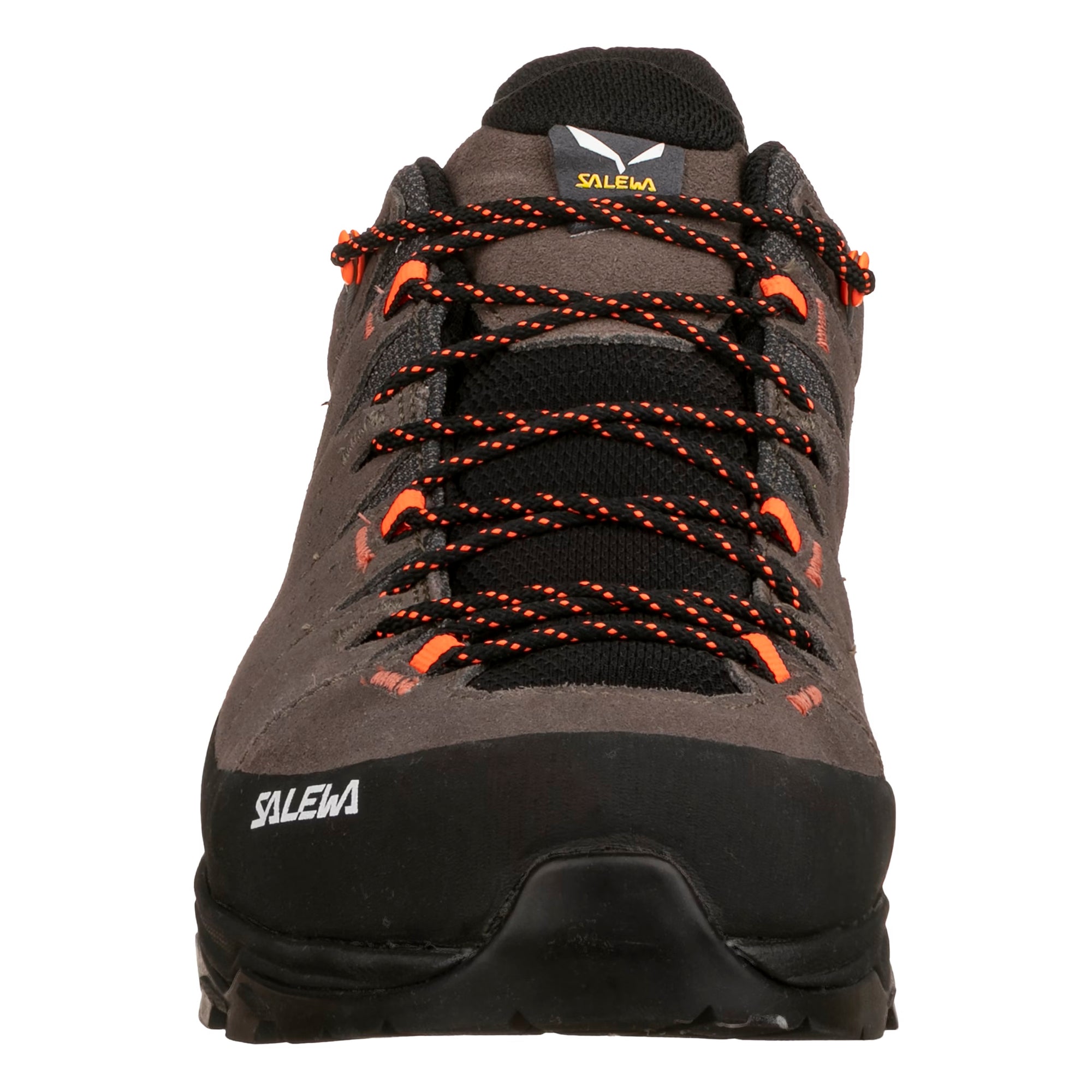 Men's Alp Trainer II Shoe