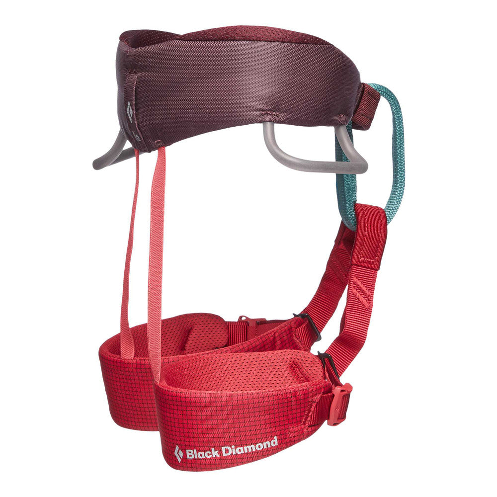 Kid's Momentum Harness