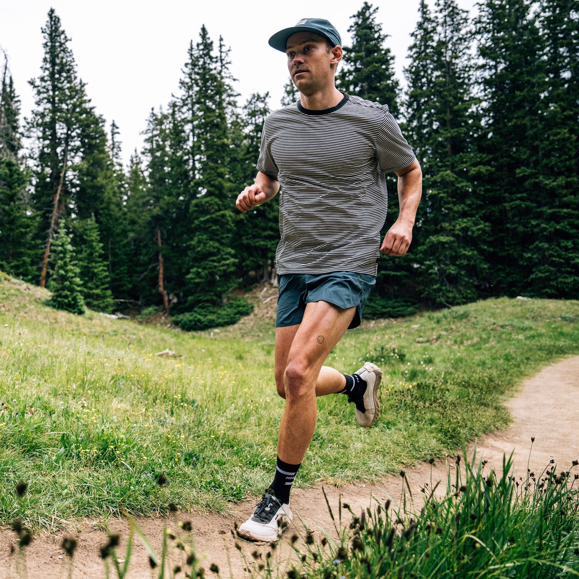 Men's Borrego Active Tee - Stripe