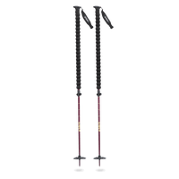 Folkrm Pahto Ski Pole in Huckleberry Purple