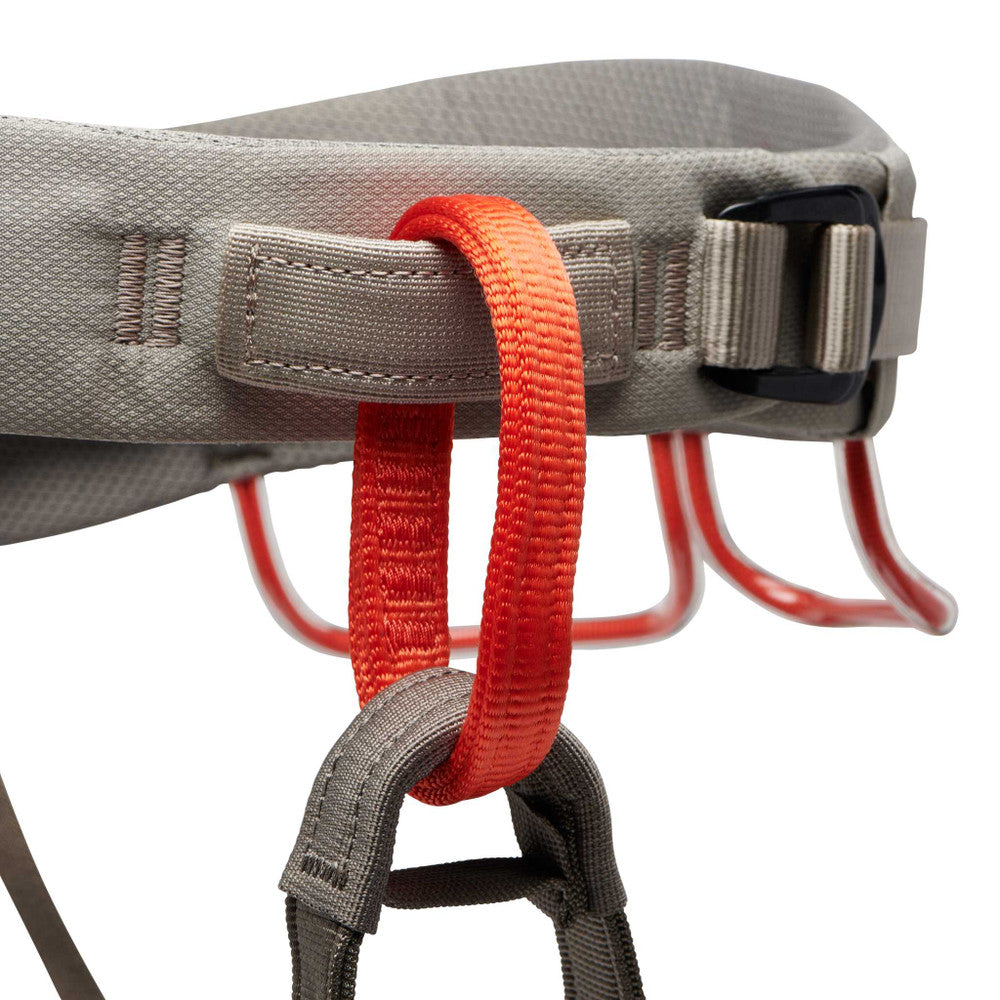 Men's Momentum Harness