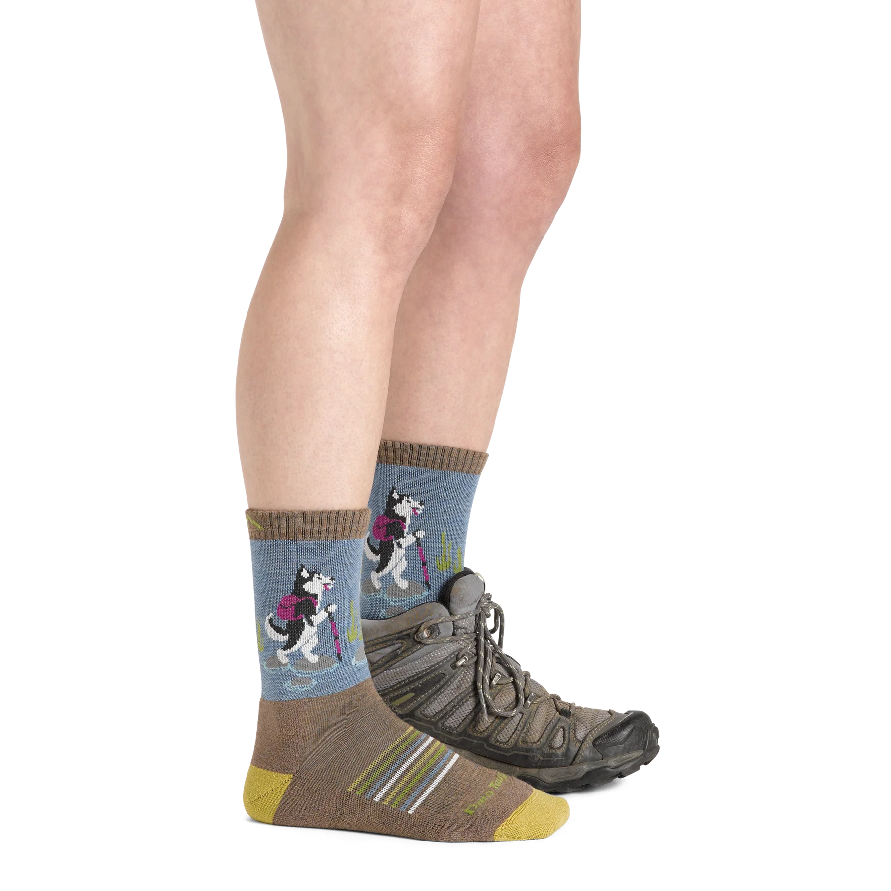 Women's Critter Club Micro Crew Lightweight Hiking Sock | 5001