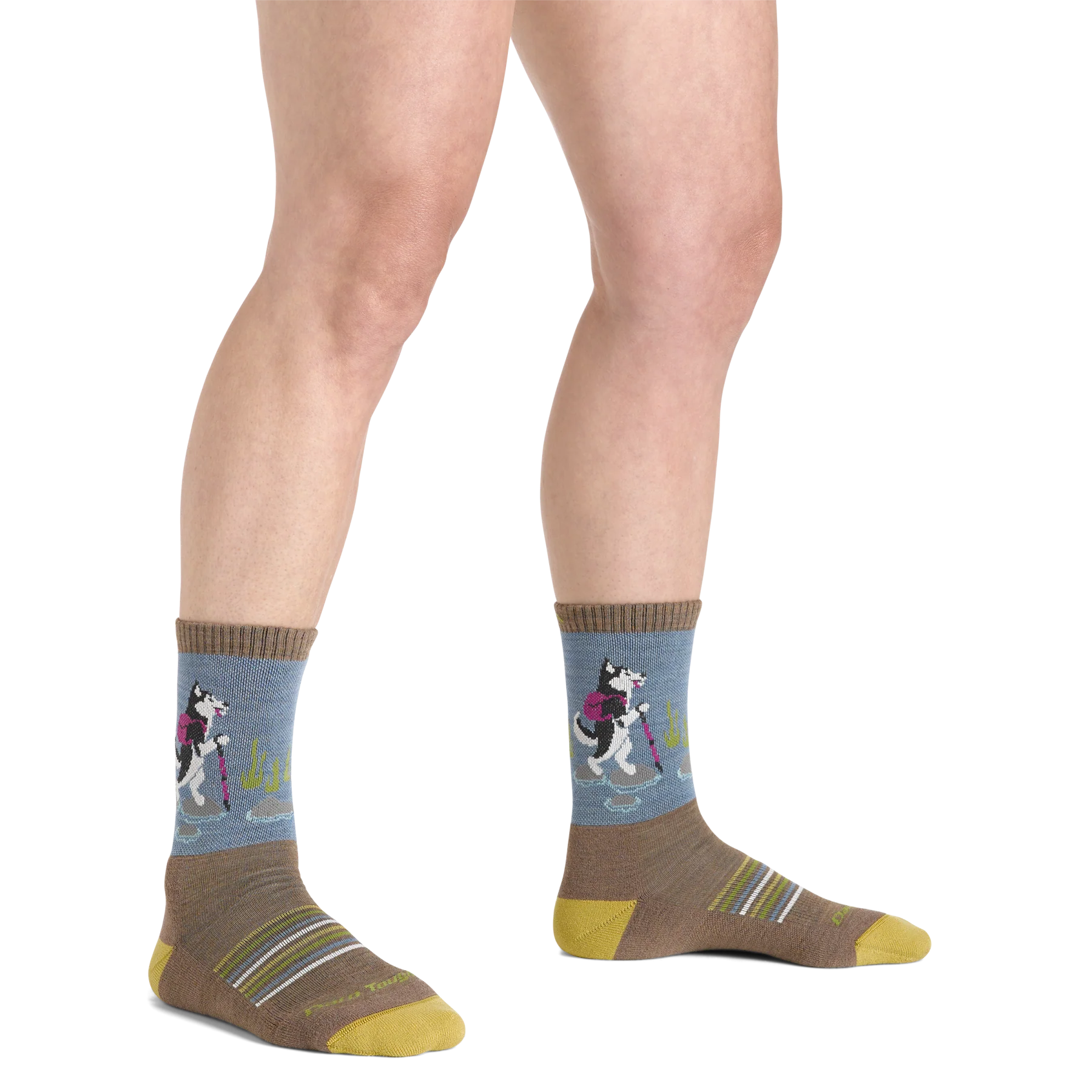 Women's Critter Club Micro Crew Lightweight Hiking Sock | 5001