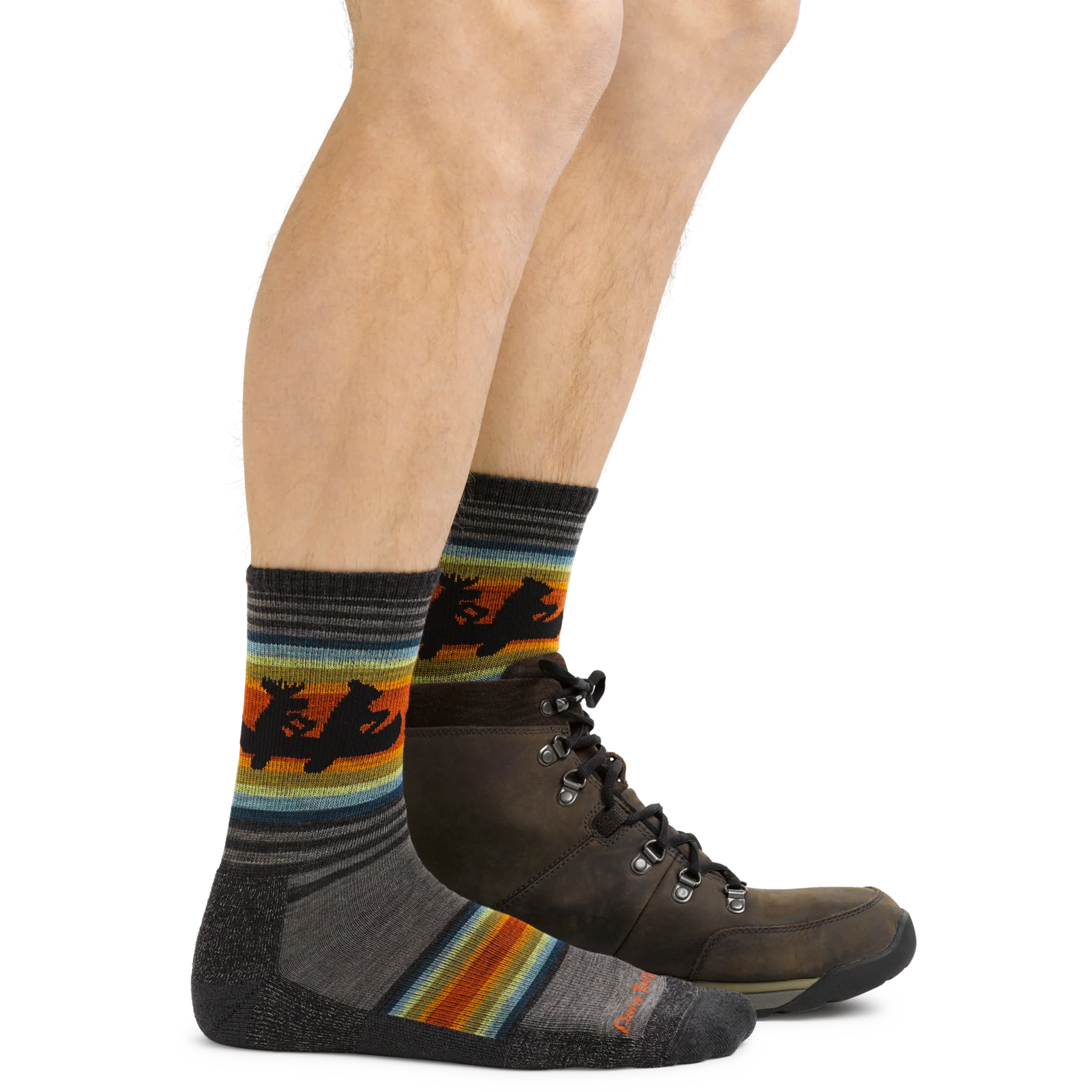 Men's Willoughby Micro Crew Lightweight Hiking Socks | 5003