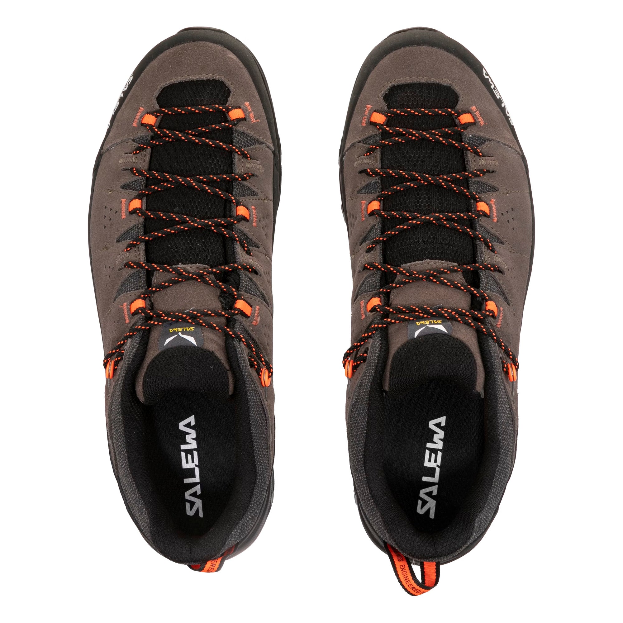 Men's Alp Trainer II Shoe