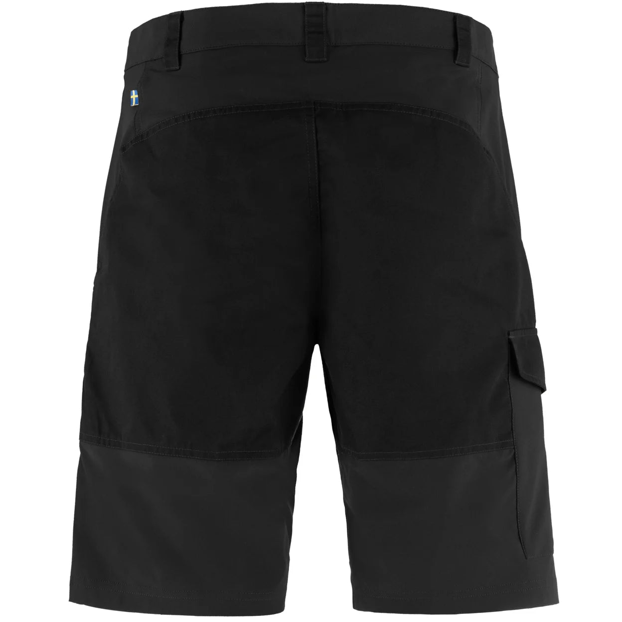 Men’s Abisko Shorts