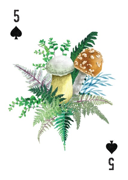 A Woman's Place Is in the Wild Deck