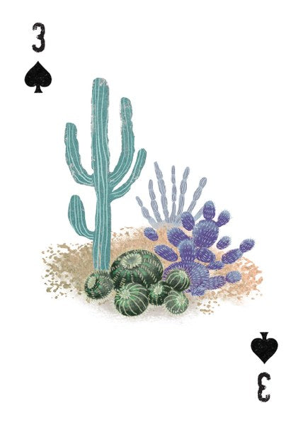 A Woman's Place Is in the Wild Deck