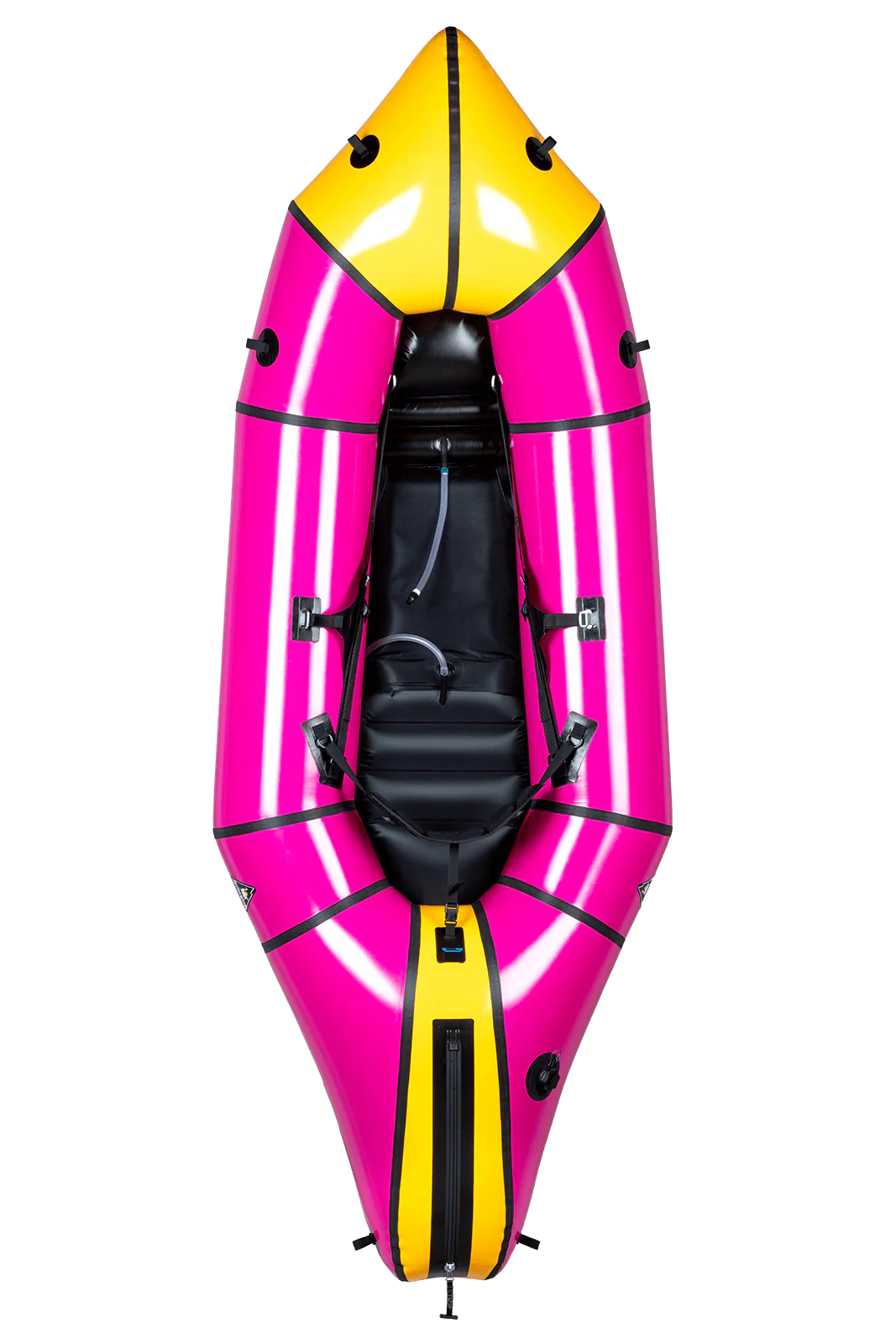 Gnarwhal