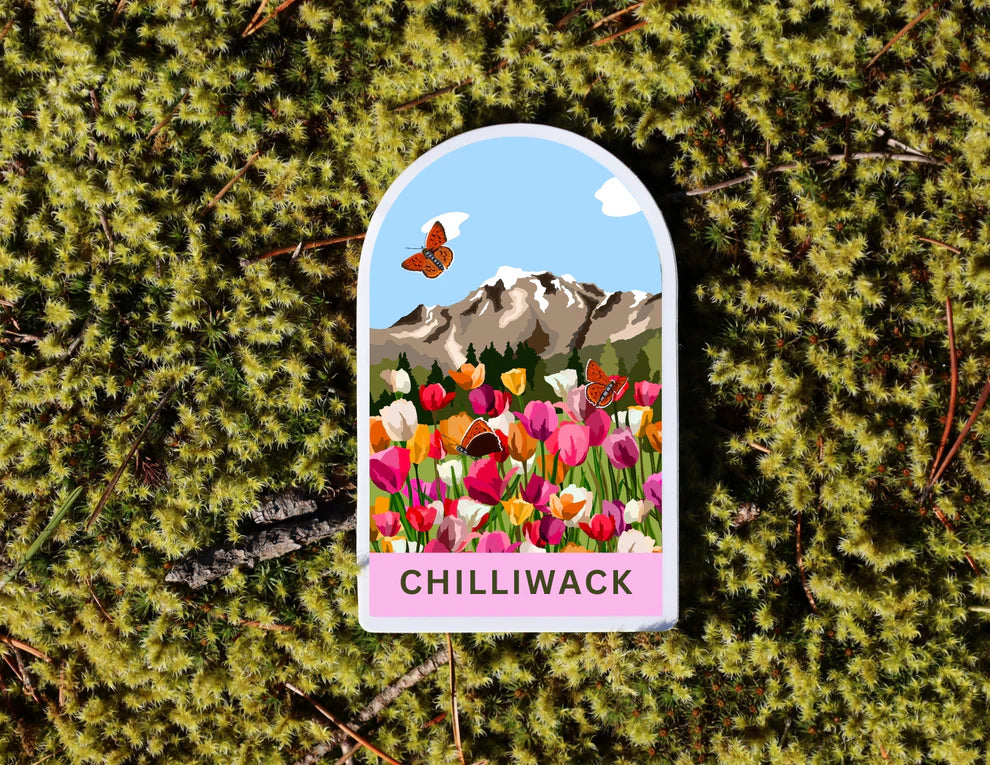 Holly Mitchell Studio Stickers