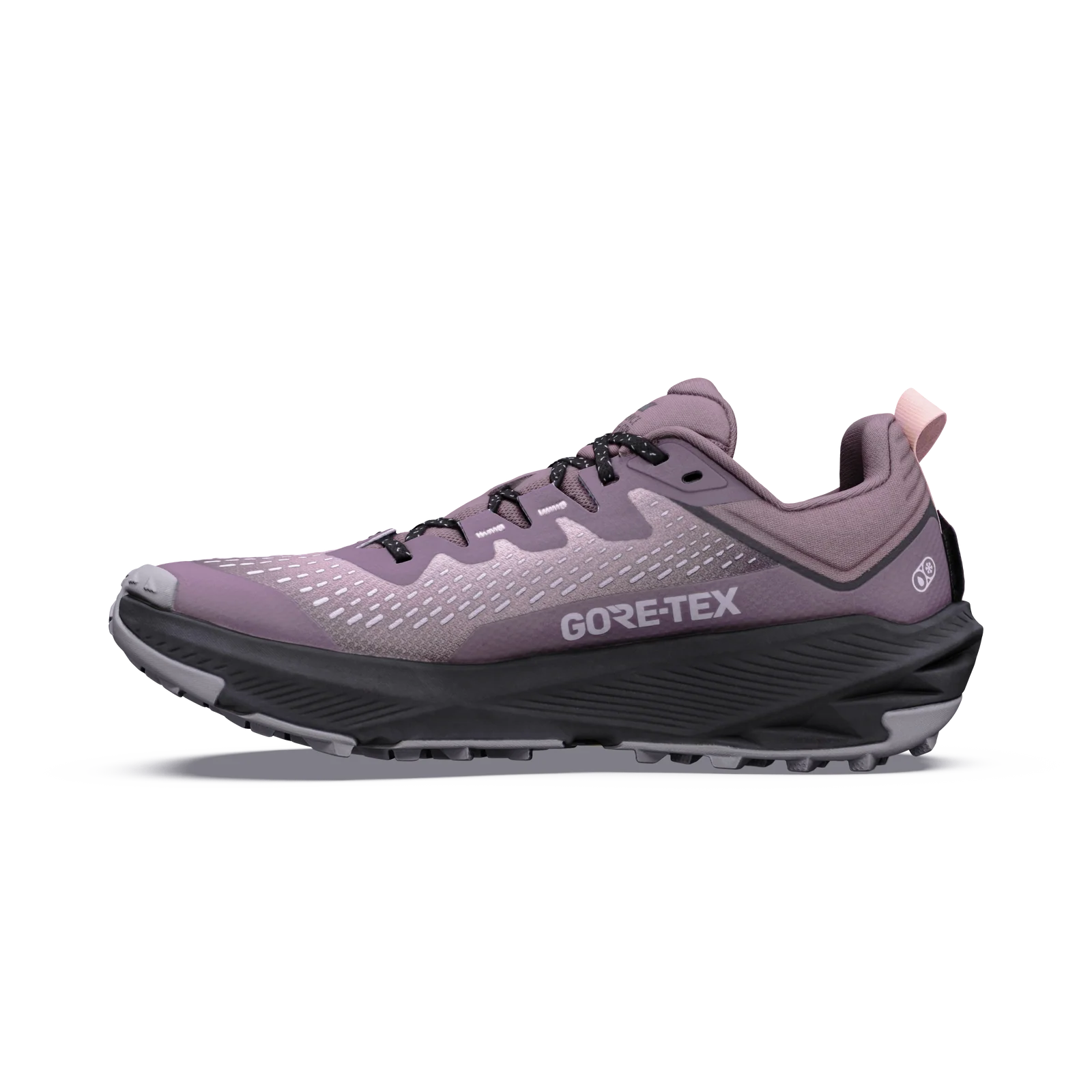 Women's Experience Wild 3+ Gtx