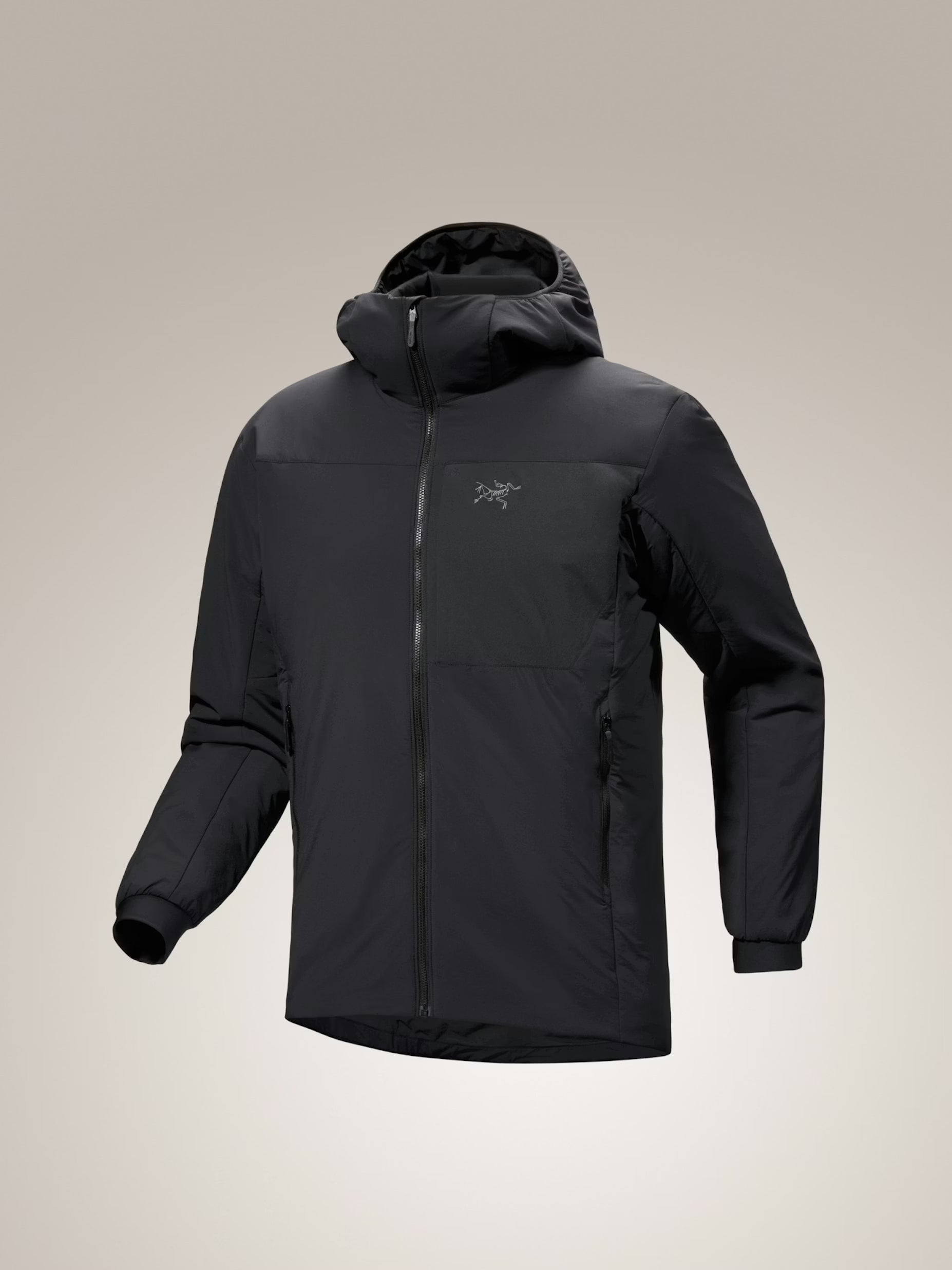 Men's Proton Hoody