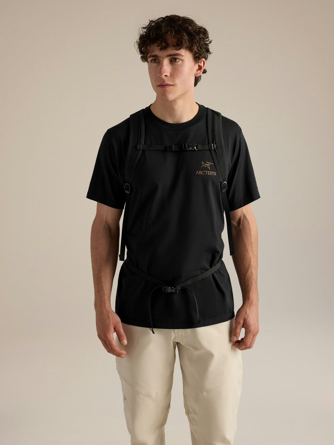 Arc'teryx Verro 20 Backpack - Black, back