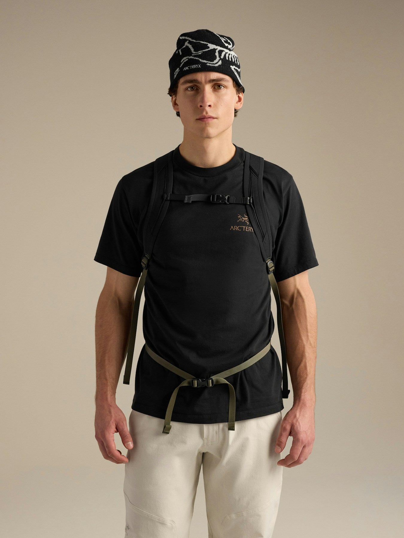 Arc'teryx Verro 20 Backpack - Tatsu, back