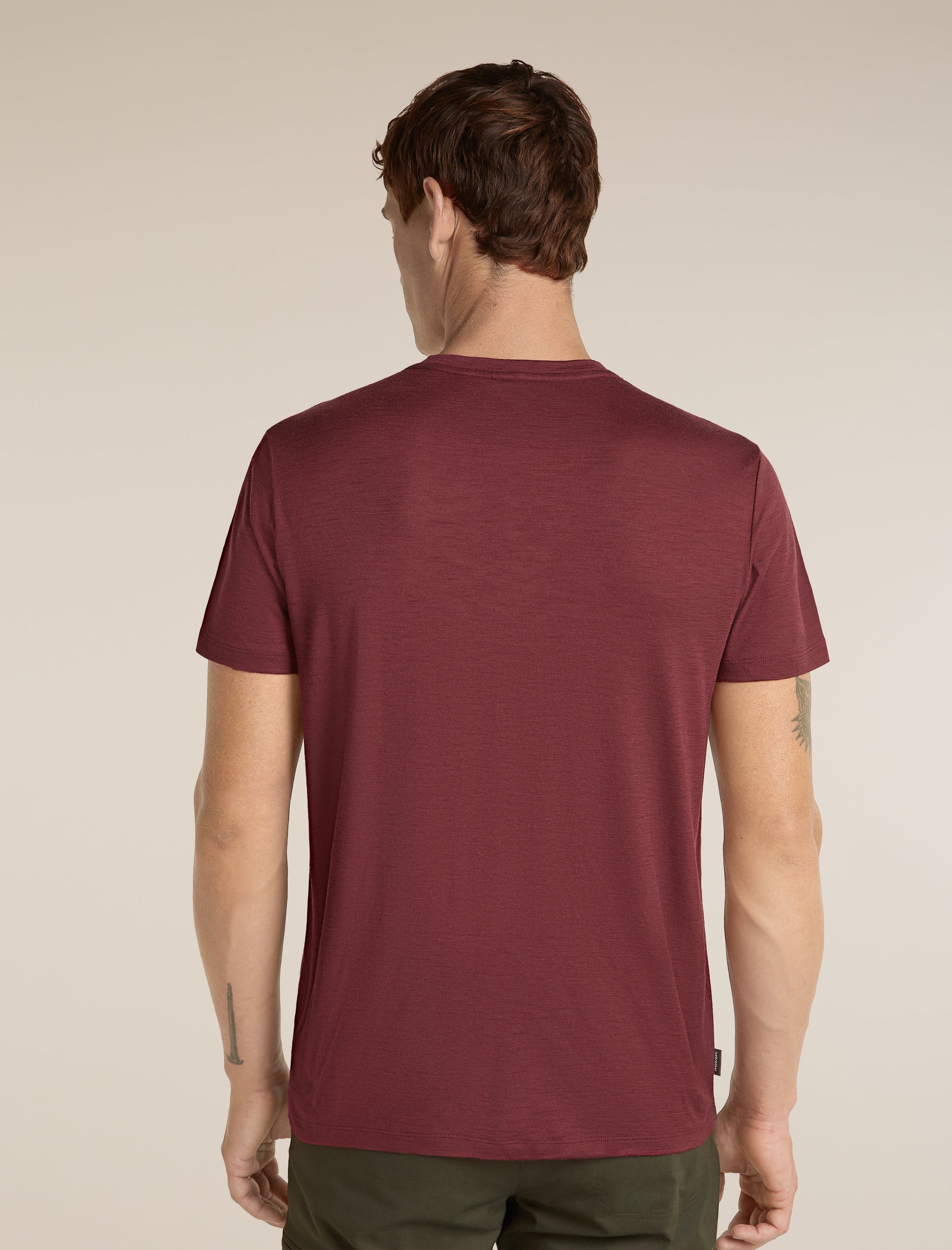 Icebreaker Men's Merino 150 Tech Lite Short Sleeve Tee Transportage in Port, back