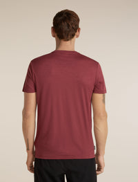 Icebreaker Men's Merino 150 Tech Lite Short Sleeve Tee Range Stripes in Port, back