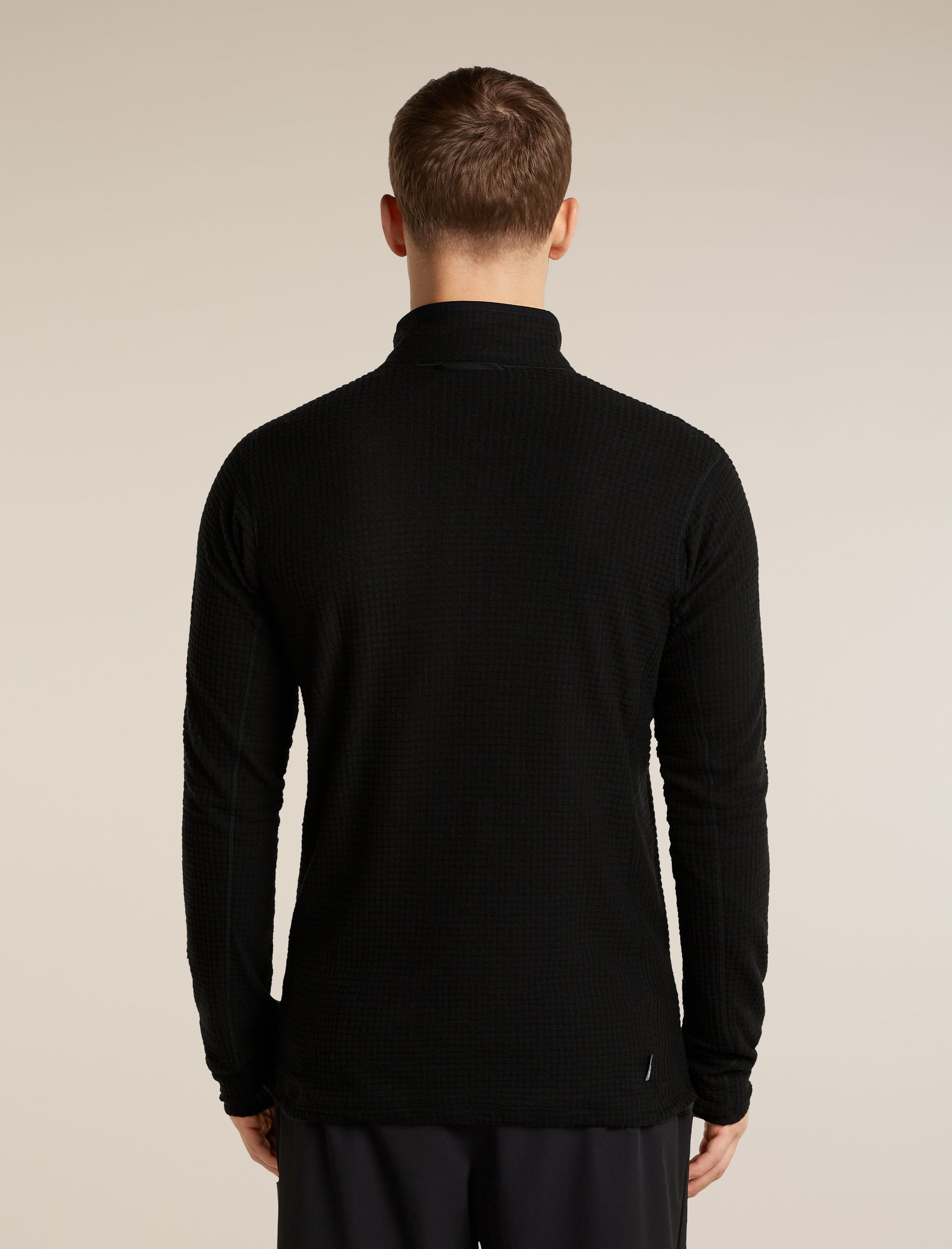 Icebreaker Men's Merino 400 RealFleece Grid Peaksland Long Sleeve Half Zip in Black, back