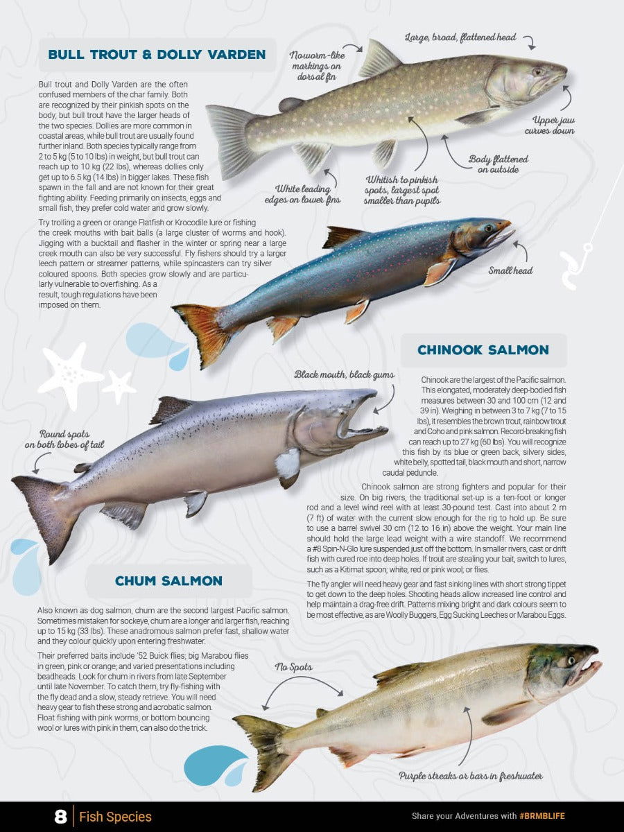 Lower Mainland BC Fishing Mapbook