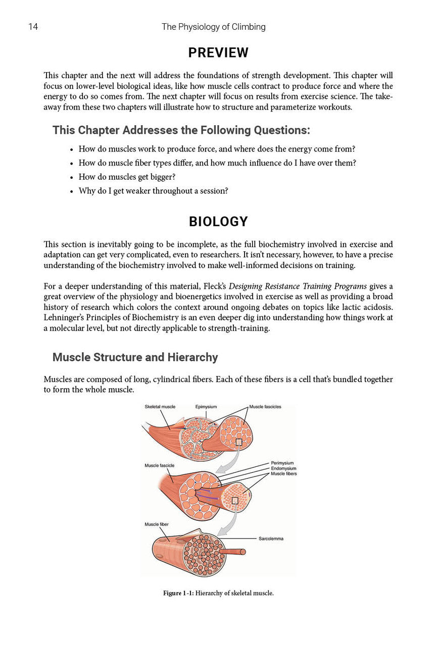 The Physiology of Climbing