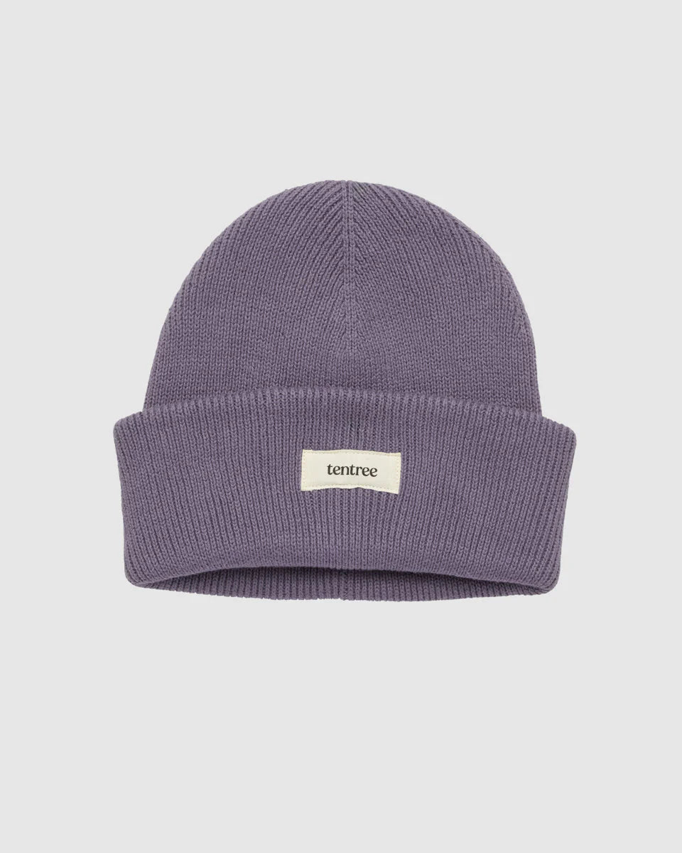 Alden Beanie