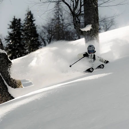 Ravine Plus 3L Jacket Mens