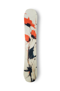 CAPiTA Birds of a Feather Snowboard 2027 top sheet