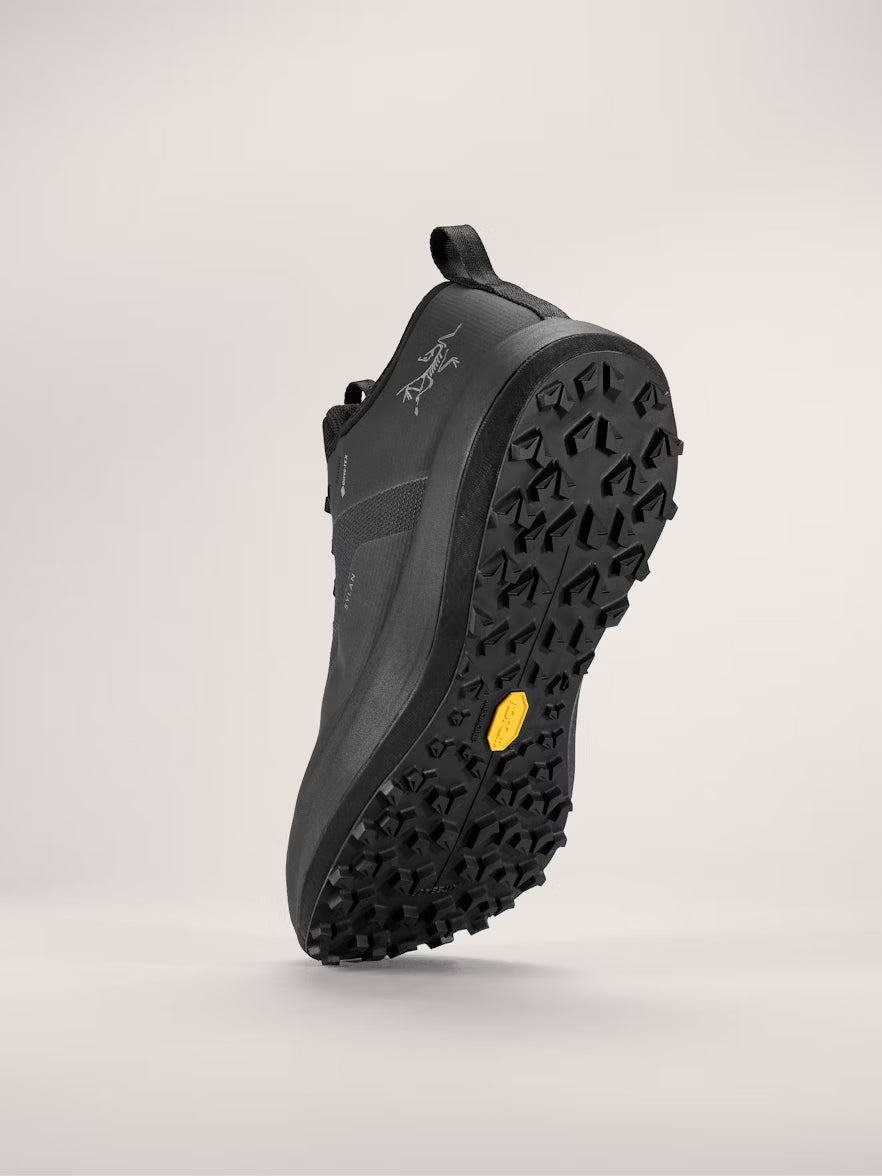 Men's Sylan GTX